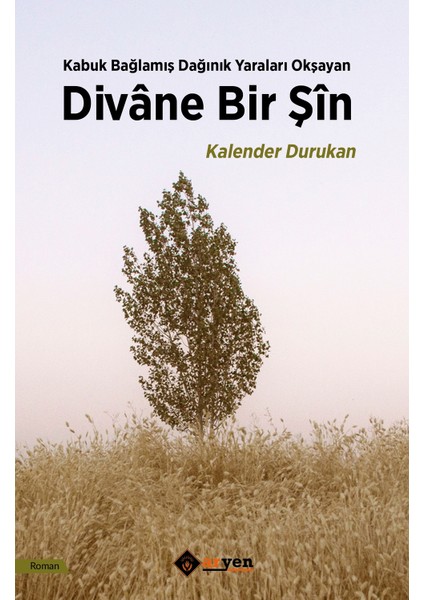 Divâne Bir Şîn - Kalender Durukan
