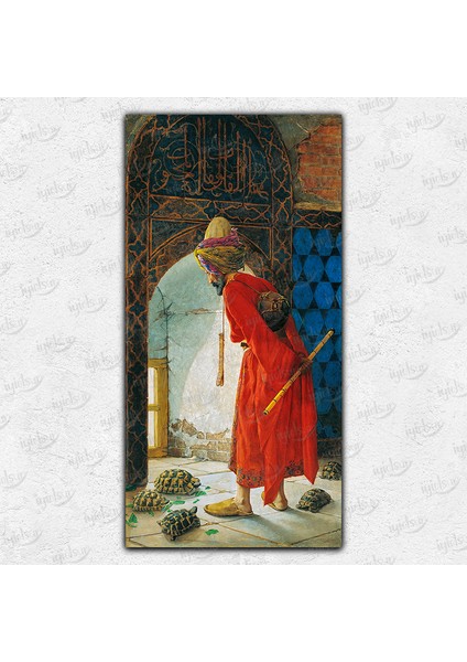 Kaplumbağa Terbiyecisi Kanvas Tablo