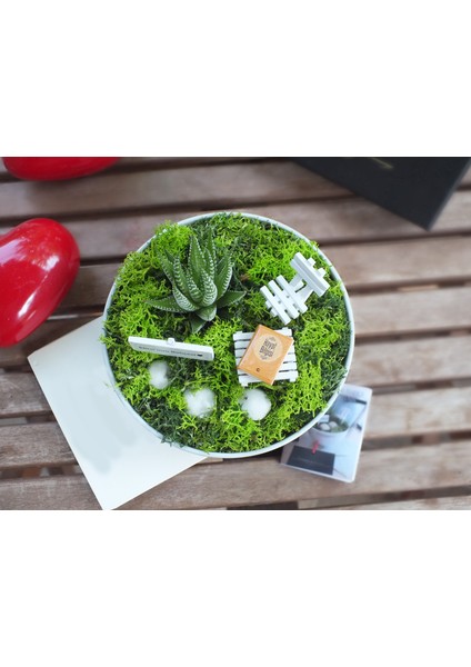 Öğretmene Teşekkür Hediyesi - Luna Koleksiyonu fiyatları