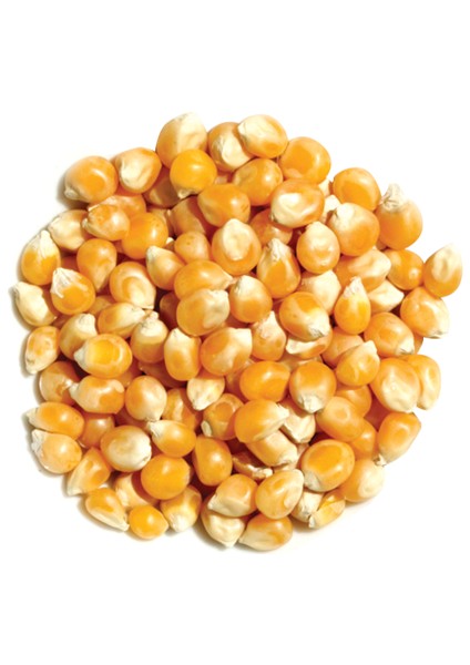 Patlatmalık Mısır 1 kg