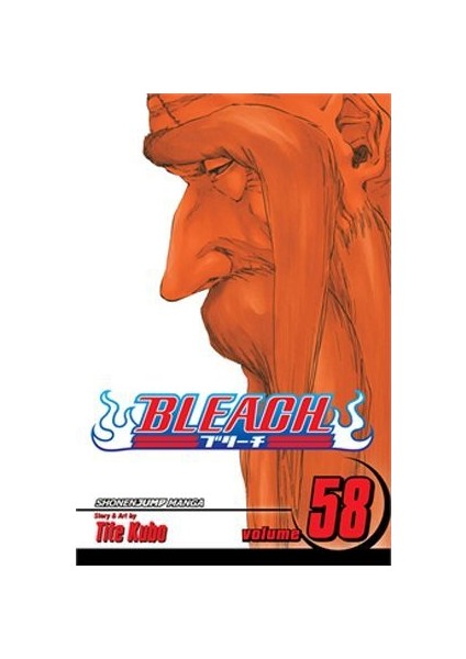 Bleach 58