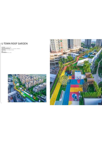 Roof Gardens And Green Walls (Çatı ve Duvarlarda Bahçe Tasarımları)