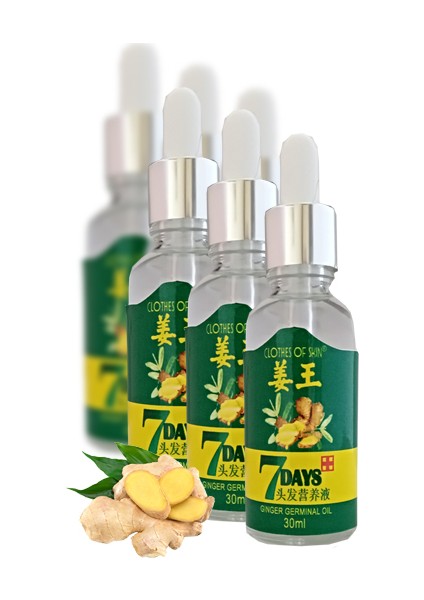 30ml Gingergerminalessentialoil Hair Growth Loss Treatment Serum Unisex 6 Adet Saç Bakım Yağı