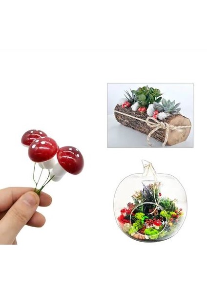 Mi̇nyatür Teraryum Mantarı