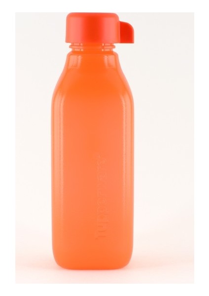 Eko Şişe 500 ml