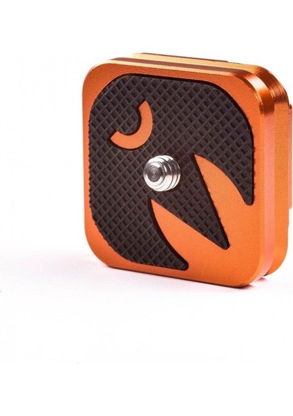 Equinox Airhed Switch