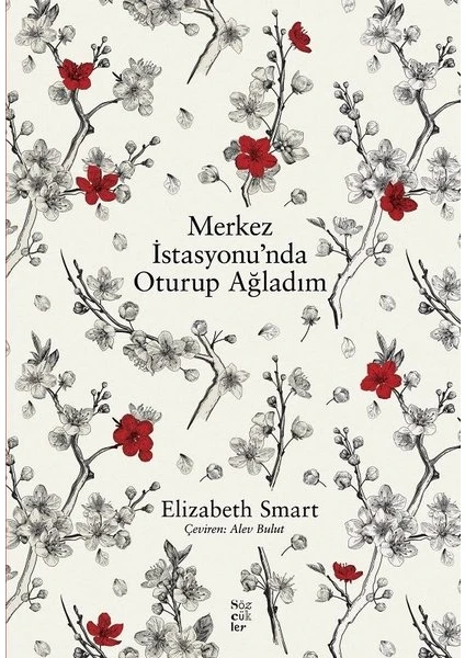 Merkez İstasyonu’nda Oturup  Ağladım - Elizabeth Smart