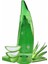 Aloe Vera Jel %98 250 ml Aloevera Maske 1