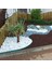 Plasti̇k Çi̇m Sınırlayıcı Esnek 25 m Yeşi̇l 5