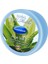 Doğal Kil Maske Aloe Vera 200 ml 1