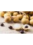 Longan Ejder Gözü Meyvesi̇ Ağaci Tohumu + Çi̇Mlendi̇Rme Seti̇ 1