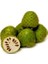 Annona Cherymoya Sugar Meyvesi̇ Tohumu + Çi̇Mlendi̇Rme Seti̇ 1