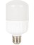 20W Torch LED Ampul 6500K 1