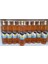 Saldanoz Sakizli Elma Si̇rkesi̇ 500 ml 2