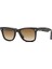 Ray Ban Wayfarer RB2140 902/51 50 1