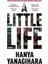 A Little Life 1