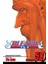Bleach 58 1