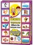 Flash Card Nerde Yaşarlar ? 1