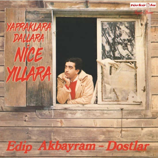 Edip Akbayram - Nice Yıllara Gülüm - Plak