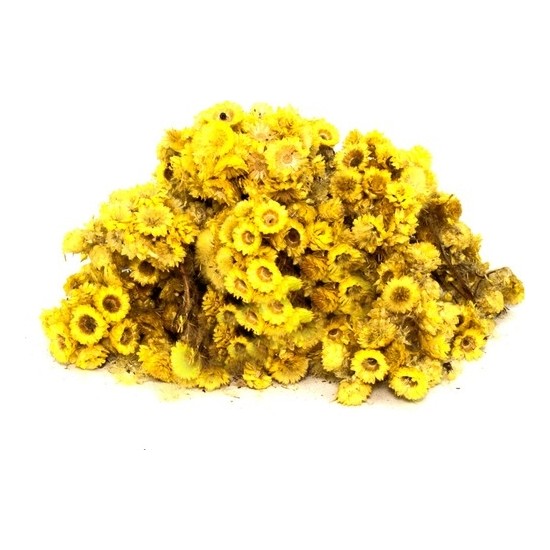 Lokman Aktar Altınotu (Altınbaşak, Sarı Çiçek, Ölmez Çiçek ) 100 gr