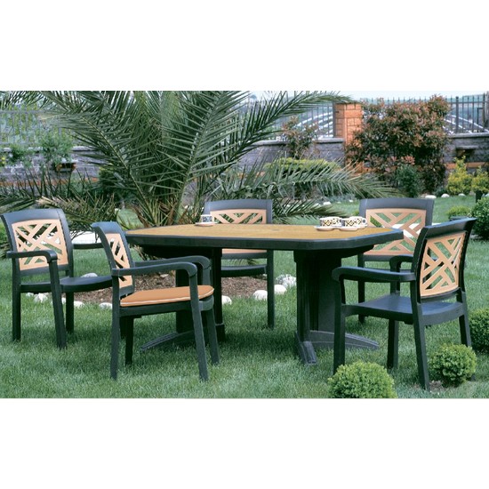 Papatya Laguna Masa 100X165 Cm + Admıral Koltuk Sandalye 6 Fiyatı