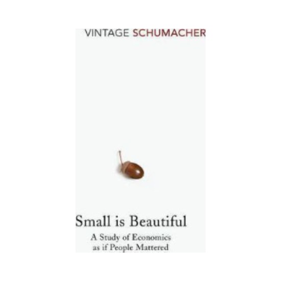 Small is beautiful promo book