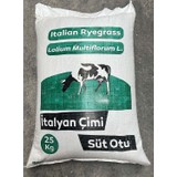 Mutlu Tohum Firba Süt Otu, Rye Grass, Rey Grass, Italyan Çimi 25 kg