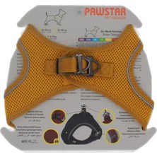 Pawstar Air-Mesh Gold Köpek Göğüs Tasması