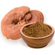 Tunalı Lokman Hekim Toz Reishi Mantarı 30 gr  (Ganoderma Lucidum)