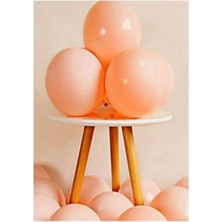Rönesans Parti Somon Pastel Balon 20 Adet