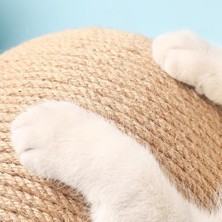 Three Beans Kedi Tırmalamak Topu Oyuncak Yavru Sisal Halat Top Kurulu Taşlama Pençeleri Kediler Çizik Oyuncak Kaşer Şeyler Sisal Duvar Yavru Çizik | Mobilya ve çizikler (Yurt Dışından)