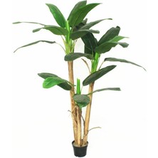 Nettenevime Yapay Ağaç Muz Ağacı Yapay Starliçe 240CM