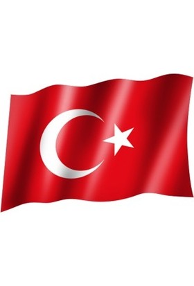 Panapole Türk Bayrağı 200X300 cm Raşel Kumaş