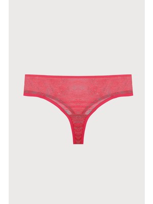 Loya Nar Çiçeği Lima Dantelli String