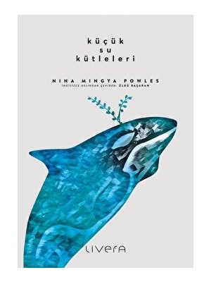 Küçük Su Kütleleri