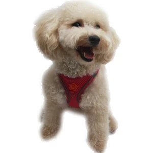 Fuşya Air-Mesh Göğüs Tasması Kedi Köpek Göğüs Tasması Xl