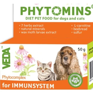 Phytomıns For Immunsystem