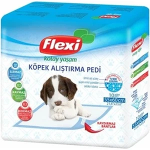 Kaydırmaz Bantlı Çiş Pedi 55 x 60 cm 10'lu