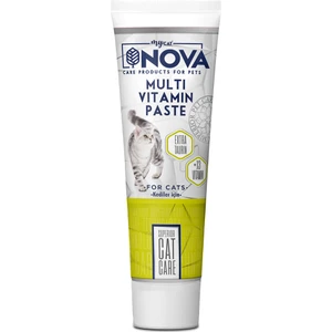 Kediler Için Multivitamin Paste 100GR