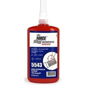 5543 Sızdırmazlık 250ML