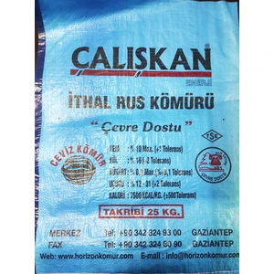 Çalıskan Rus Kömür