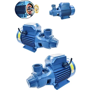Schutzenger Dkm-80-1 0.75 Kw 1 Hp 1" Profesyonel Bakır Sargılı Sistem Su Pompa Motoru