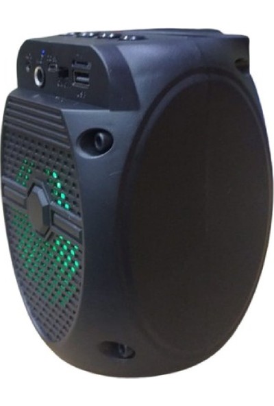 Blackbird Taşınabilir Hoparlör USB-SD-Aux-FM-Bluetooth ZQS1308
