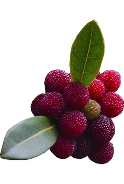 Sebze Meyve Dünyası Taze Dağ Çileği (250 Gr)