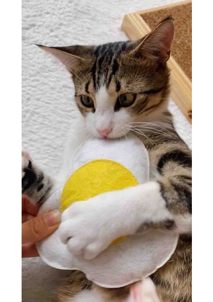 Yumurta - Kedi Naneli (Li) Kedi Oyuncağı Kedi Yastığı - Dino Pet Oyuncak modelleri