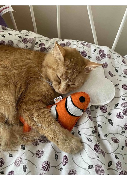 Yumurta - Kedi Naneli (Li) Kedi Oyuncağı Kedi Yastığı - Dino Pet Oyuncak fırsatları