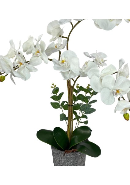 Yapay Çiçek 3lü Beyaz Orkide Seramik Saksıda Orkide 60CM fiyatları
