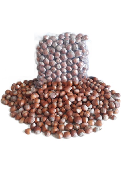 Kabuklu Doğal Yağlı Fındık 500 gr fiyatları