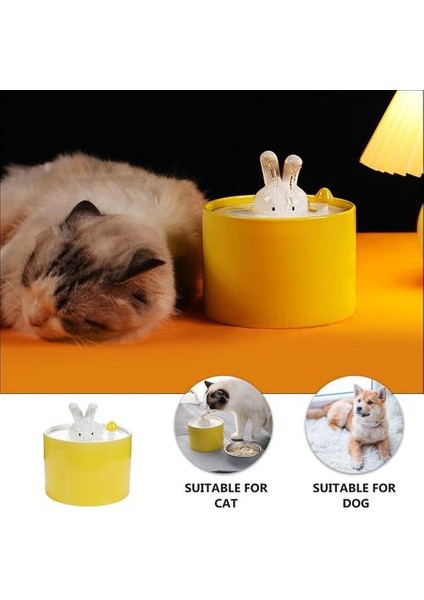 Seramik Su Dağıtıcısı USB Şarj Içme Çeşmesi Pet Içme Cihazı | Kedi Besleme ve sulama Malzemeleri (Yurt Dışından) indirimleri
