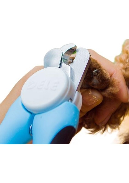 Paslanmaz Çelik Köpek Tırnak Makası Pet Bakım Aksesuarları Toe Bakım Araçları Evcil Pençe Büyük Köpekler Için Makas | Tırnak Makası Petdog Tırnak (Mavi) (Yurt Dışından) modelleri